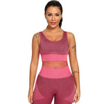 Yoga Set 2 Piece Women Tracksuit Fitness Suit Bra - Heritage cosmetics and beauty care