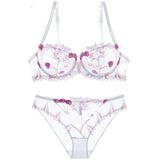 Underwear explosions transparent mesh embroidered bra bra set - Heritage cosmetics and beauty care