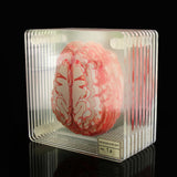 Creative Floral Brain Slices Acrylic Coasters Party Favors - Heritage cosmetics and beauty care