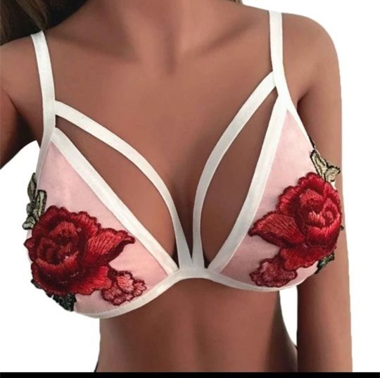 Rose embroidery lace bra set - Heritage cosmetics and beauty care