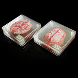 Creative Floral Brain Slices Acrylic Coasters Party Favors - Heritage cosmetics and beauty care