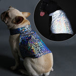 Reflective pet clothing - Heritage cosmetics and beauty care