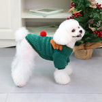 Teddy Small Dog Pet Clothing Winter - Heritage cosmetics and beauty care