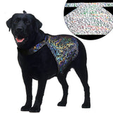 Reflective pet clothing - Heritage cosmetics and beauty care