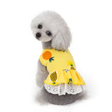 Spring And Summer Puppy Clothes Dog Clothing Pet Supplies - Heritage cosmetics and beauty care