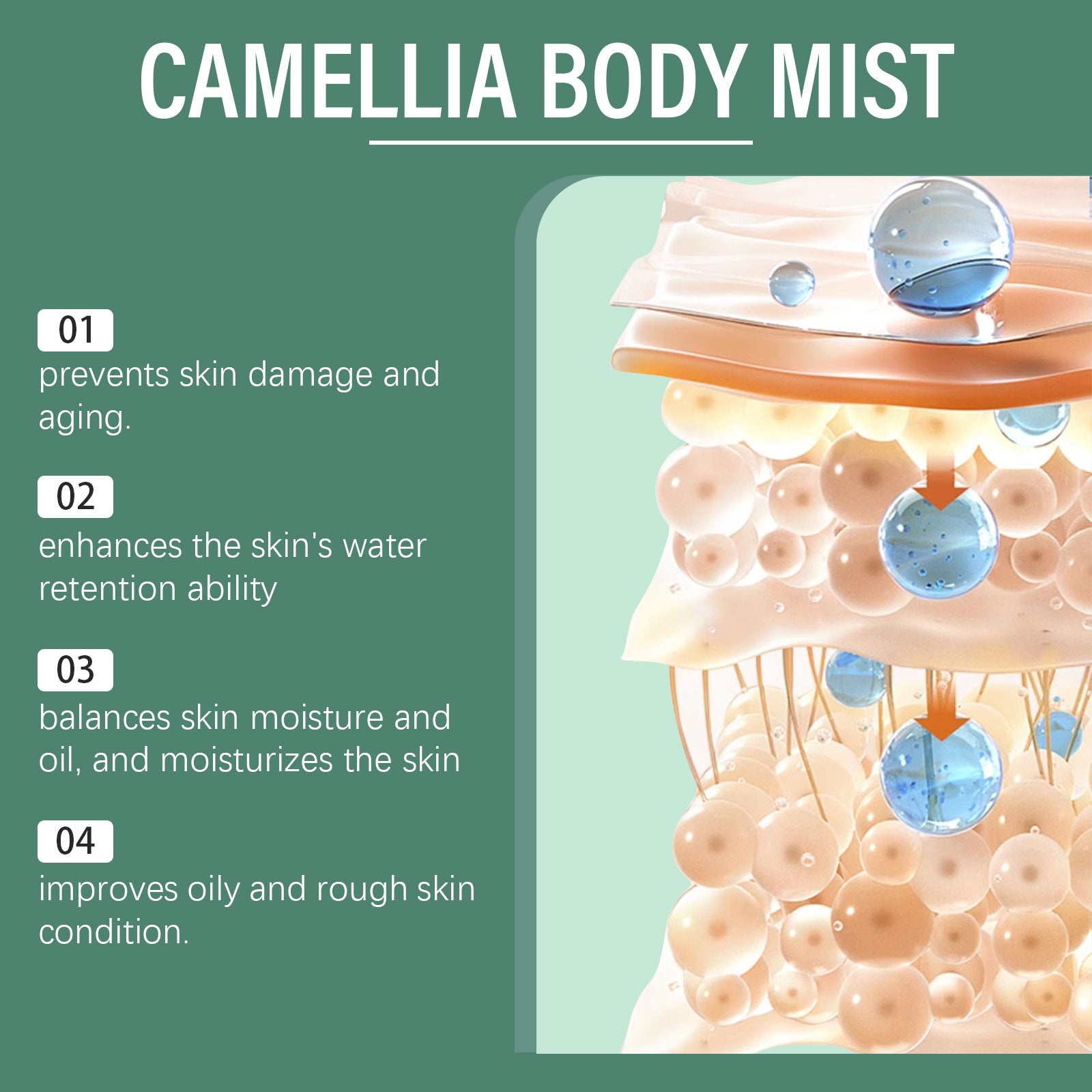 Camellia Body Lotion Body Skin Refreshing Care - Heritage cosmetics and beauty care