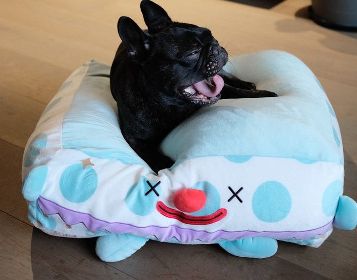 Clown Pet Sleeps In A Cozy Pet Bed - Heritage cosmetics and beauty care