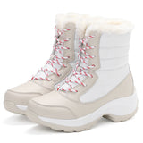 Snow Boots Plush Warm Ankle Boots For Women Winter Shoes - Heritage cosmetics and beauty care