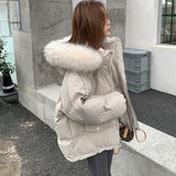 Short Large Fur Collar Cotton Coat