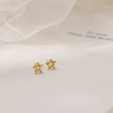 Silver Stud Earrings For Women Special-interest Design - Heritage cosmetics and beauty care