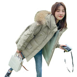 Short Large Fur Collar Cotton Coat