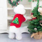 Teddy Small Dog Pet Clothing Winter - Heritage cosmetics and beauty care