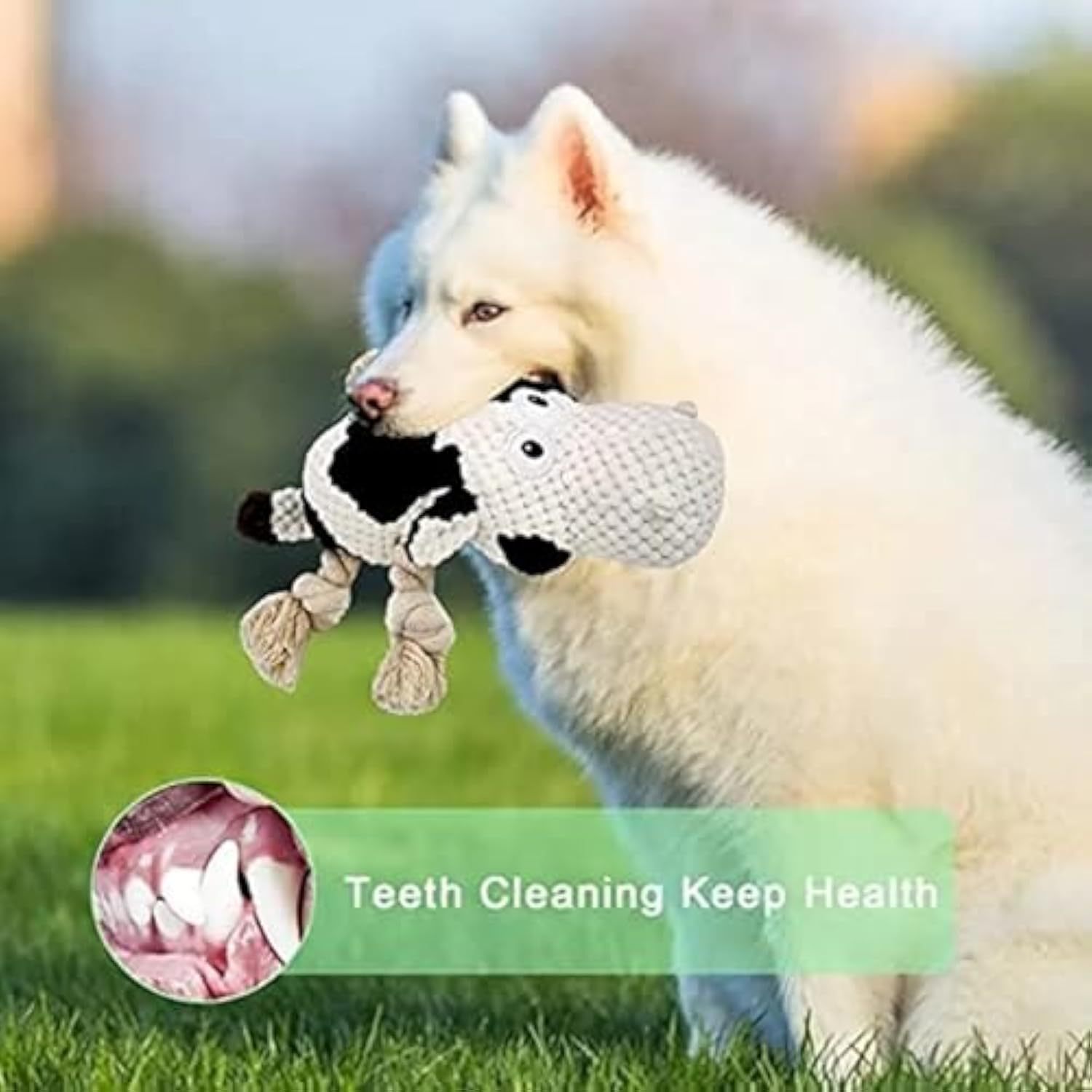 Squeaky Dog Toys Dog Plush Toy Dog Stuffed Animals Chew Toy Cute Dog Toys Stuffed Animals Toys For Dogs Durable Cow Dog Toy Best Toy For For Puppy Small Medium And Large Dogs - Heritage cosmetics and beauty care