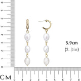 Niche Shell Pearl Tassel Earrings Simple - Heritage cosmetics and beauty care